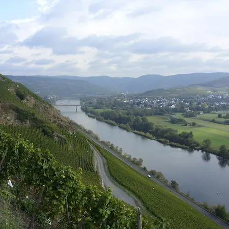 Гостевой дом Weingut Kranz-junk *