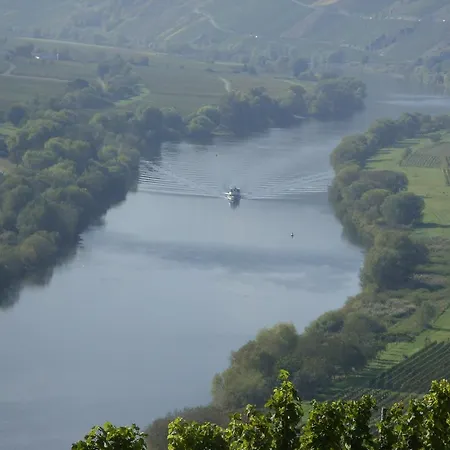 Weingut Kranz-junk